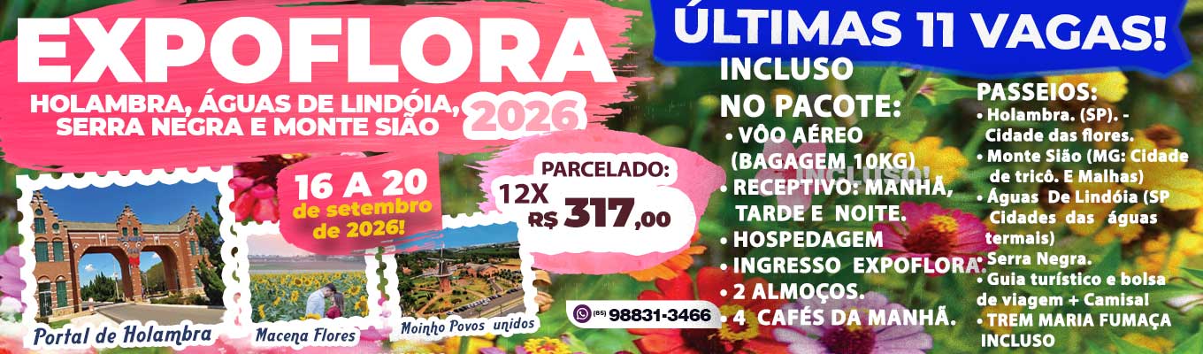 Proftur Viagens e Turismo, proftur, proftur.com.br, www.proftur.com.br, pacotes em fortaleza, Proftur Viagens e Turismo